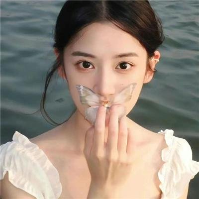凤舞龙翔